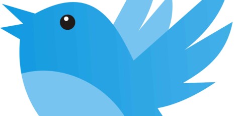 How to Create Your Twitter Business Account in 10 Steps